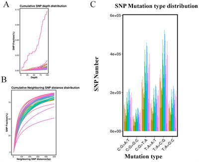 Genetic diversity and population structure analysis of 418 tomato cultivars based on single nucleotide polymorphism markers